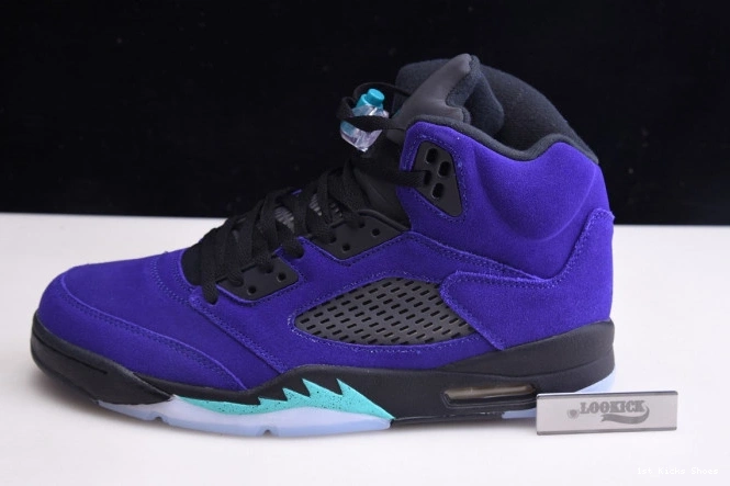 Air Grape Alternate Jordan 136027-500 5 Retro 0810